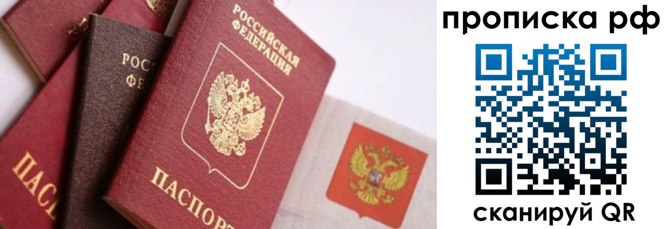 прописка ребенка в Ярославской области